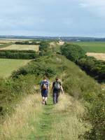 The Devils Dyke near Newmarket